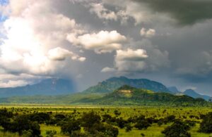 Pian Upe Game reserve