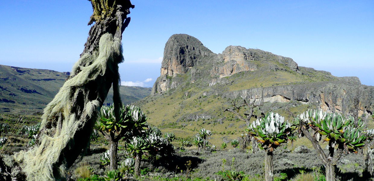 Mount Elgon National Park