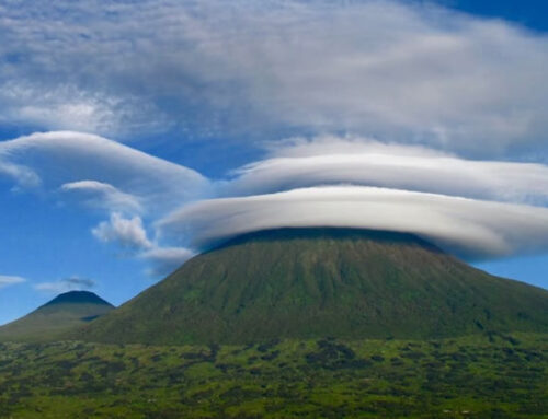 Hiking Safaris in Volcanoes National Park